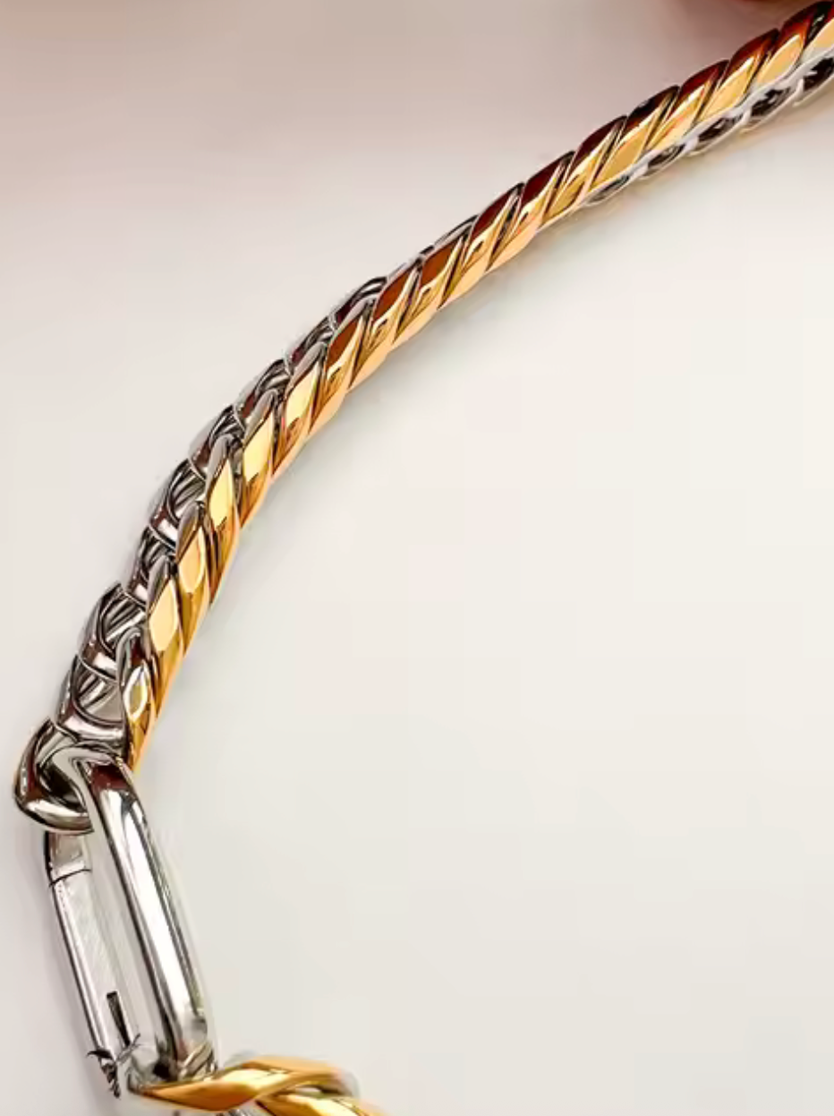 Abby Carabiner Stainless Steel Necklace